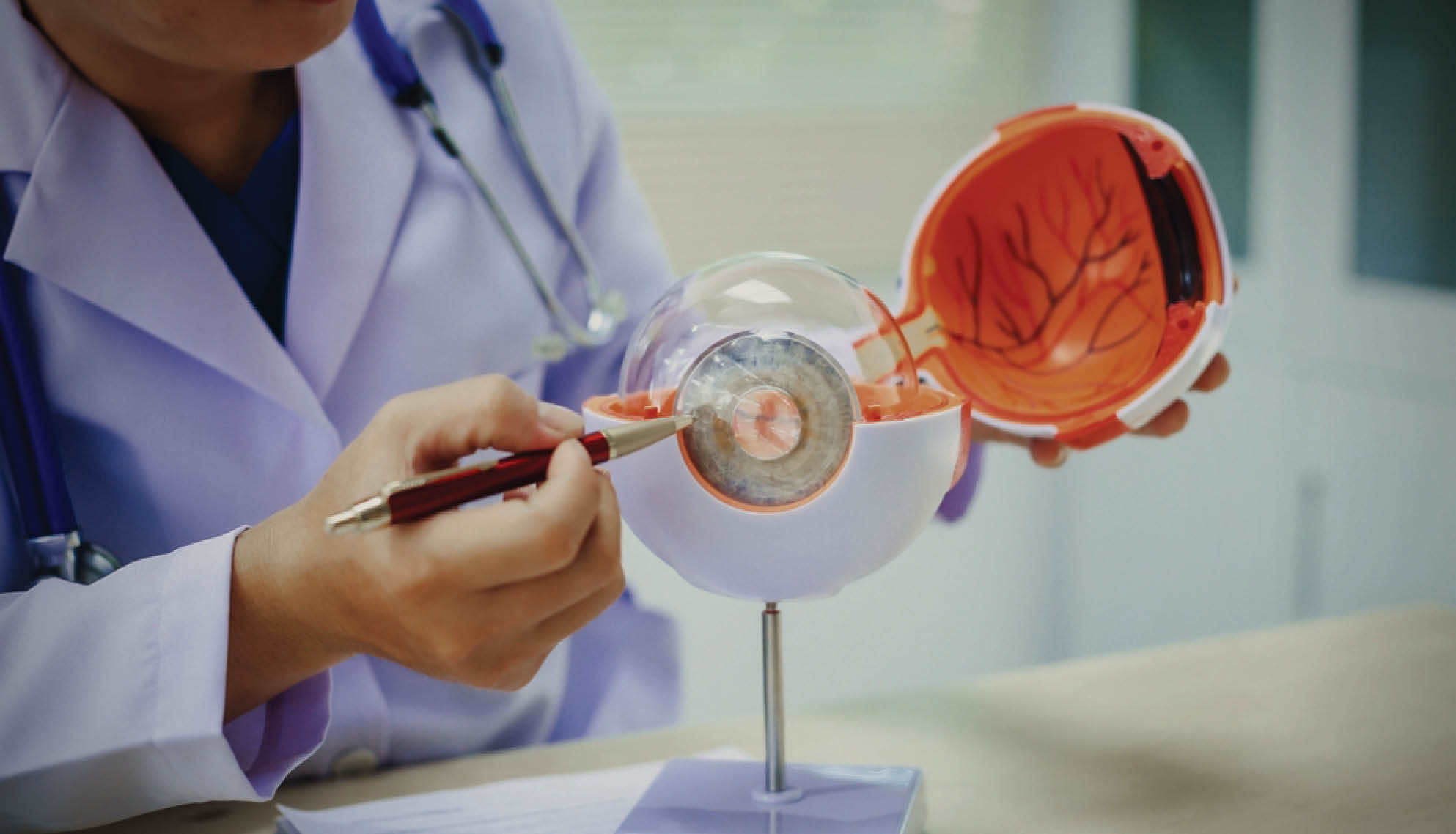 https://soliseyecare.com/wp-content/uploads/2025/07/Diabetic-Retinopathy_04.jpg