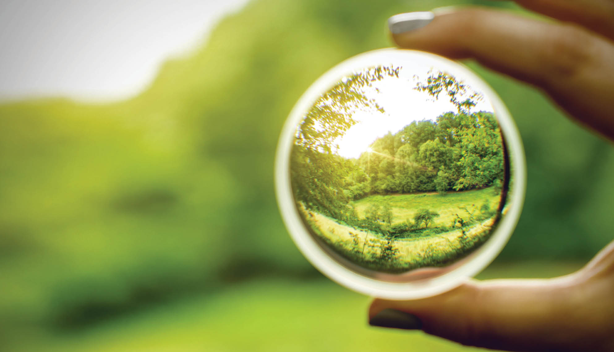 https://soliseyecare.com/wp-content/uploads/2025/07/Low-Vision_04.jpg